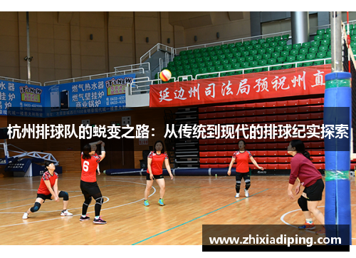 杭州排球队的蜕变之路：从传统到现代的排球纪实探索