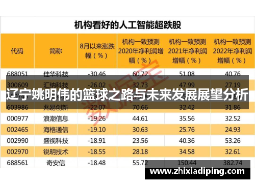 辽宁姚明伟的篮球之路与未来发展展望分析